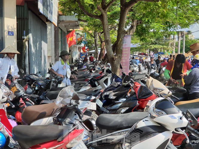 Chọi trâu Đồ Sơn, vô tư bán vé giả, bãi xe tự phát tha hồ