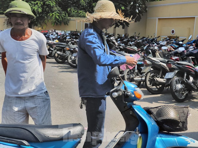 Chọi trâu Đồ Sơn, vô tư bán vé giả, bãi xe tự phát tha hồ
