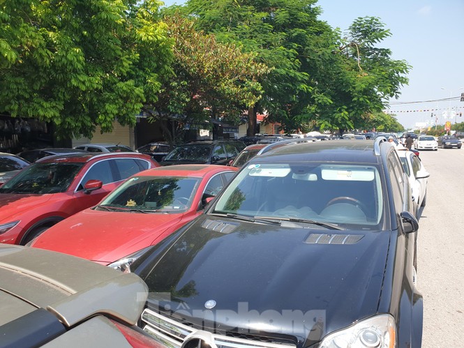 Chọi trâu Đồ Sơn, vô tư bán vé giả, bãi xe tự phát tha hồ