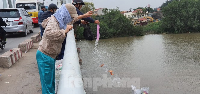 Tết ông Công, ông Táo: người dân Hải Phòng vô tư thả cá, thả cả túi nilon - ảnh 2