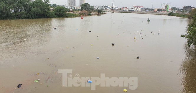 Tết ông Công, ông Táo: người dân Hải Phòng vô tư thả cá, thả cả túi nilon - ảnh 5