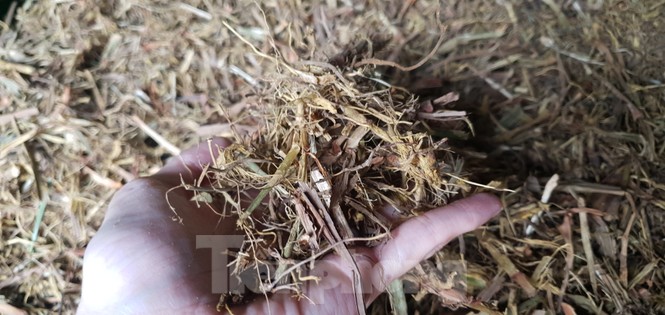 Thăm làng nghề làm hương thủ công ở Hải Phòng - ảnh 3