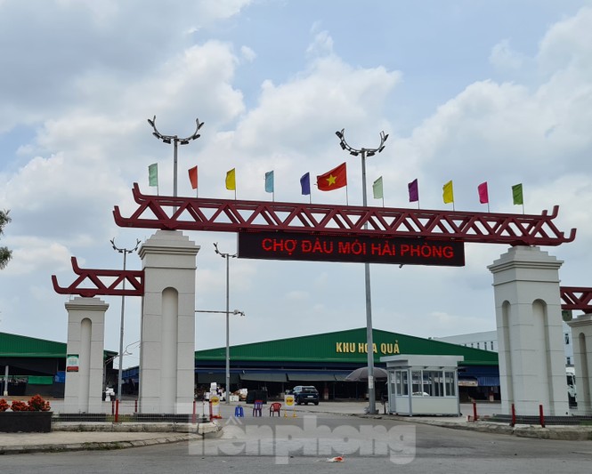 Hải Phòng thi hành kỷ luật đối với Ban Thường vụ Quận ủy Hồng Bàng - ảnh 1