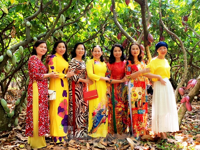 Du xuân với vườn ca cao muôn màu trên Tây Nguyên - ảnh 1