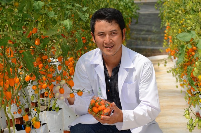 Vườn cà chua siêu ngọt, trĩu quả hút khách ở Tây Nguyên - ảnh 5