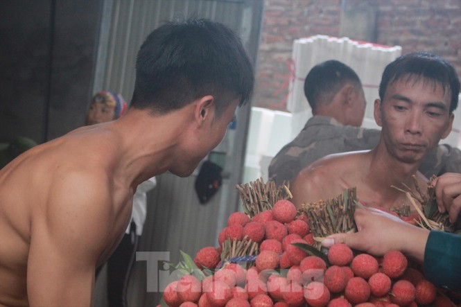 Đời phu vải - ảnh 1