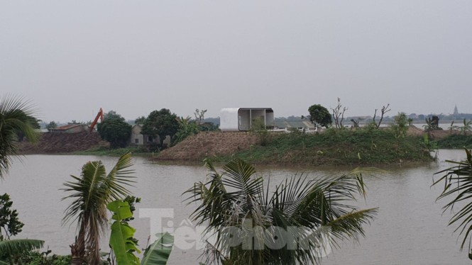 Ngang nhiên trồng hàng trăm cây lâu năm xâm phạm nghiêm trọng đê sông Đáy - ảnh 8