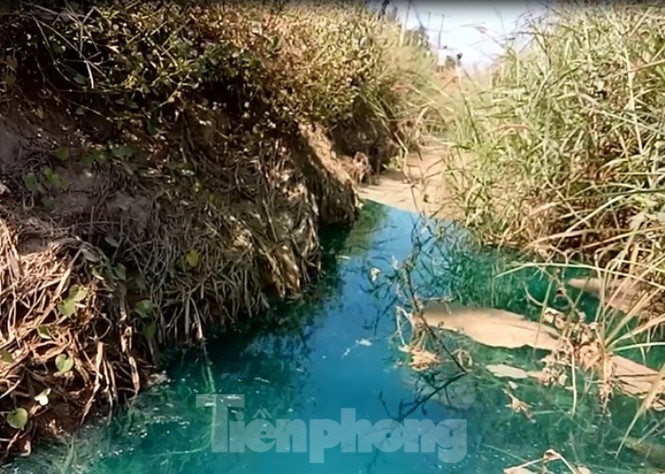 Mương nước xuất hiện màu xanh lạ, bốc mùi như thuốc sâu ở Bình Dương - ảnh 5