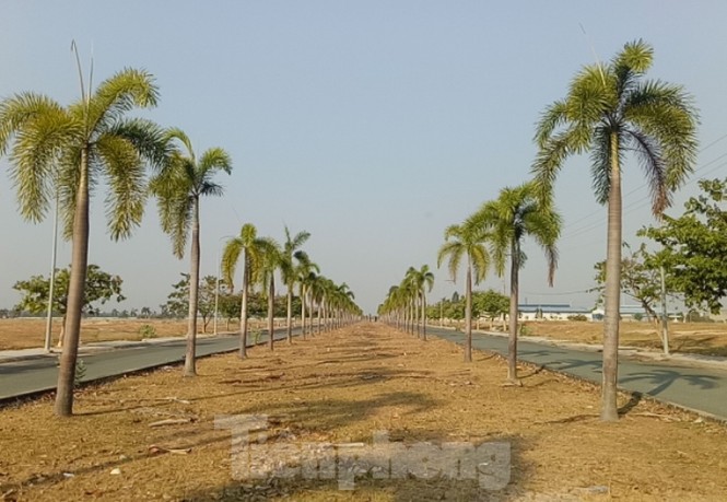 Cận cảnh KCN Phú Tân ‘đắp chiếu’ 16 năm do vướng pháp lý - ảnh 6