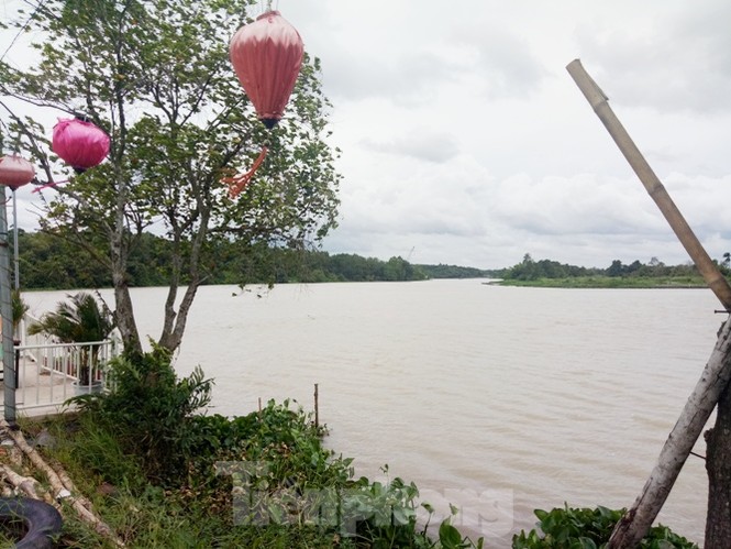 Phim trường, nhà hàng xây trái phép bên sông Thị Tính ở Bình Dương - ảnh 8