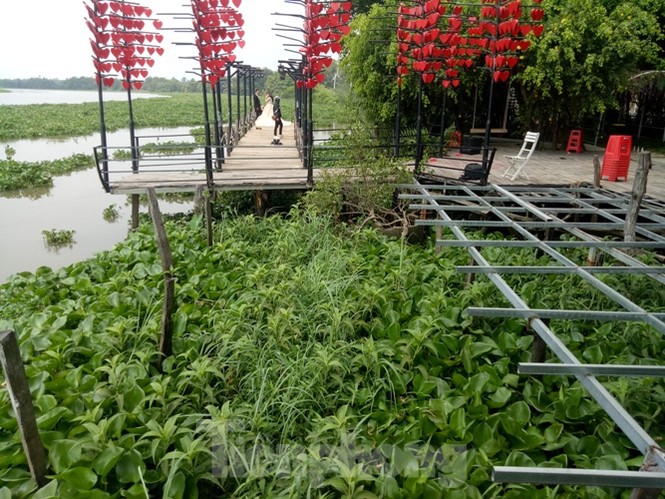 Phim trường, nhà hàng xây trái phép bên sông Thị Tính ở Bình Dương - ảnh 3