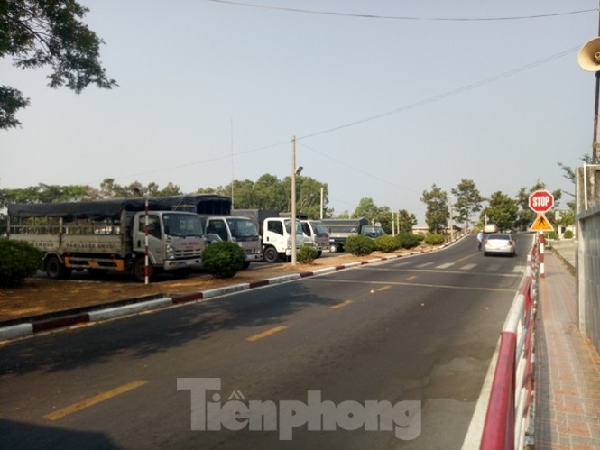 Trường lái ồ ạt sát hạch trước ngày lệnh cấm có hiệu lực - ảnh 1