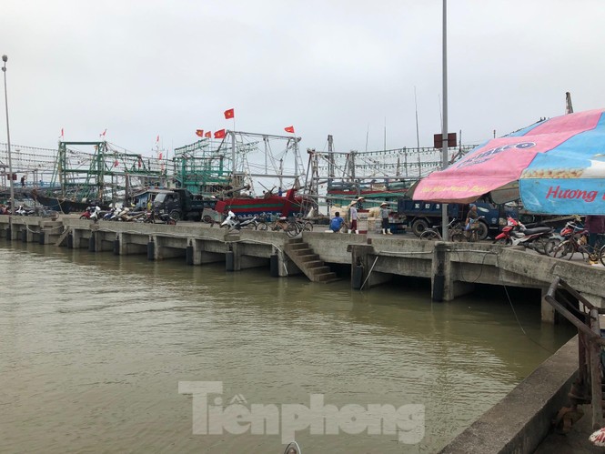 Vụ cá 'khủng' bị xẻ bán ở Thanh Hóa: Không người mua cá sau khi cắt mổ - ảnh 2