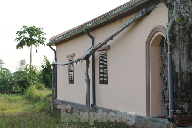 Cận cảnh ngôi đình 100 tuổi 'độc nhất vô nhị' ở miền Tây có 2 cây bồ đề mọc trên mái tp 13 loyy