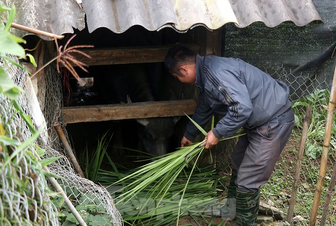 Thời tiết dưới 11 độ, Sa Pa chìm trong giá rét - ảnh 5