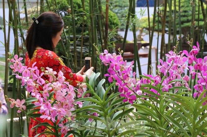 Dân Sài Gòn kéo nhau vào hội hoa xuân chụp hình 'tự sướng' ngày cận tết - ảnh 7