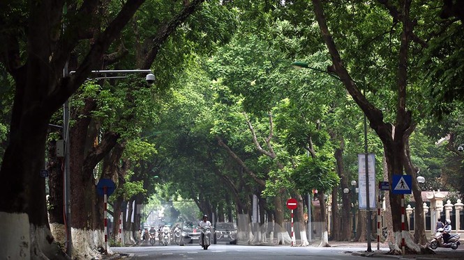 Hơn 75.000 thí sinh Hà Nội bước vào môn thi đầu tiên trong tiết trời dịu mát - ảnh 1