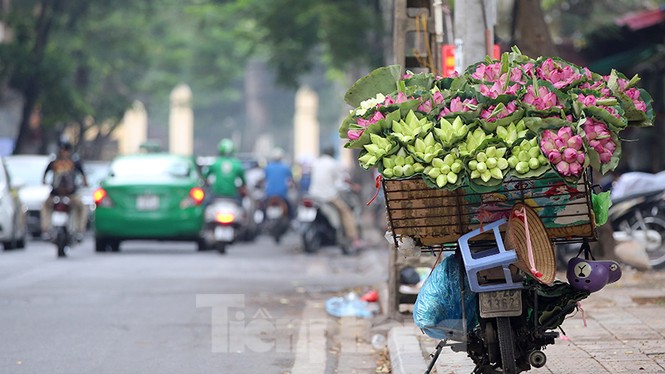 Hơn 75.000 thí sinh Hà Nội bước vào môn thi đầu tiên trong tiết trời dịu mát - ảnh 8