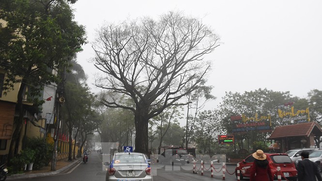 Sương mù dày đặc bao trùm Thủ đô Hà Nội - ảnh 12