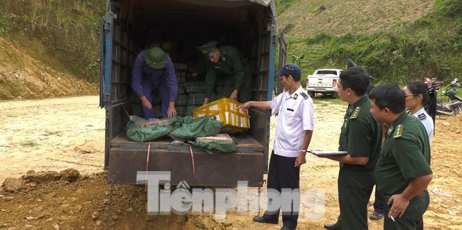 1 tấn tôm hùm đất 'đổ bộ' vào Việt Nam bị phát hiện - ảnh 2