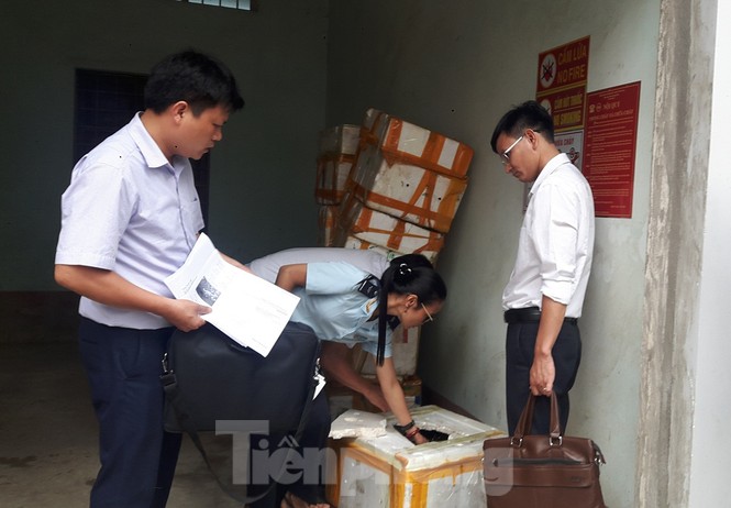 1 tấn tôm hùm đất 'đổ bộ' vào Việt Nam bị phát hiện - ảnh 1