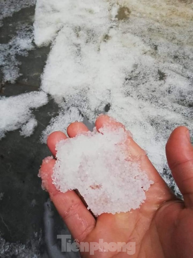 Băng tuyết phủ trắng Fansipan đẹp như ở trời Âu - ảnh 10