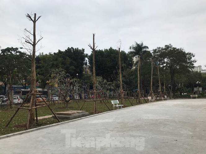 Vừa 'đòi ' được khu đất vàng, dân lại lo DN lấp hồ Thành Công xây chung cư - ảnh 6