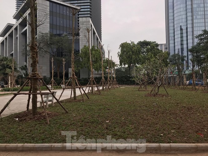 Vừa 'đòi ' được khu đất vàng, dân lại lo DN lấp hồ Thành Công xây chung cư - ảnh 13