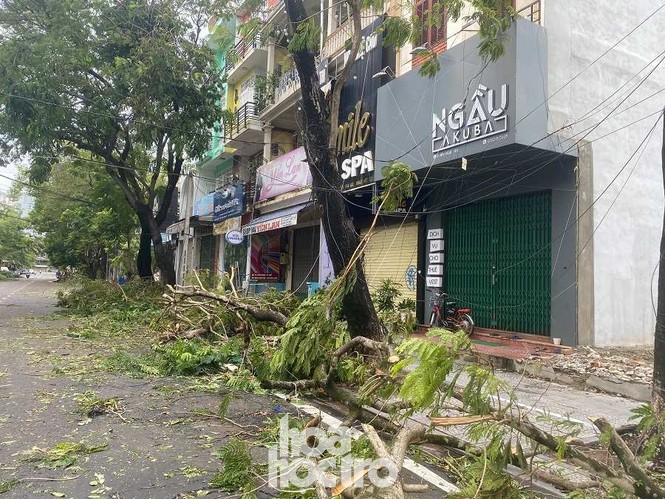 Bão số 5 đánh nhanh rút gọn, để lại xứ Huế tiêu điều sau bão - ảnh 4