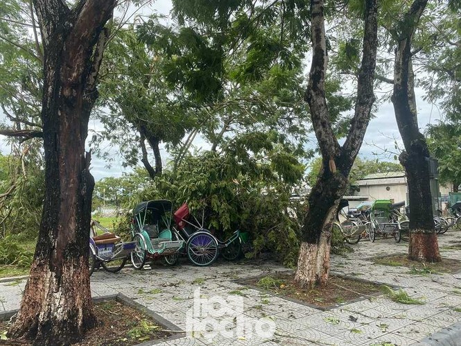 Bão số 5 đánh nhanh rút gọn, để lại xứ Huế tiêu điều sau bão - ảnh 9