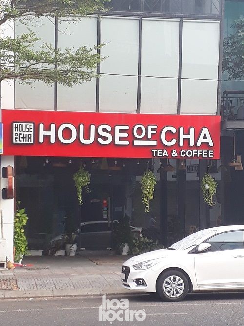 Quán xá chính thức đóng cửa, teen Đà Nẵng sống sao qua mùa dịch? - ảnh 6