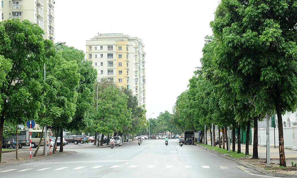 Cận cảnh con đường mang tên Bí thư thứ nhất T.Ư Đoàn đầu tiên - ảnh 7