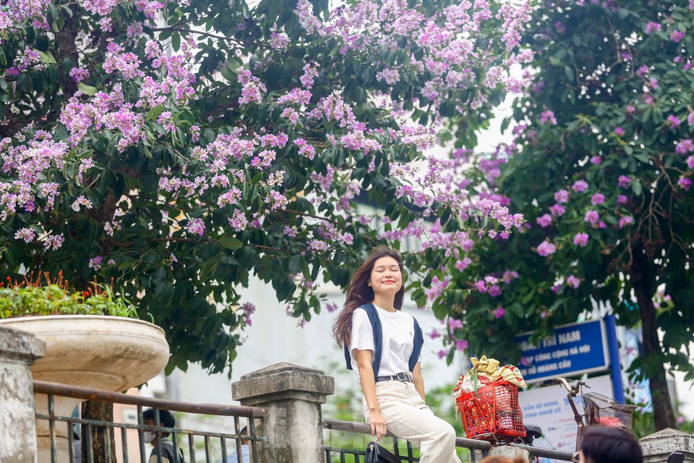 Nàng thơ' chen nhau tạo dáng bên con đường hoa bằng lăng nở rực rỡ