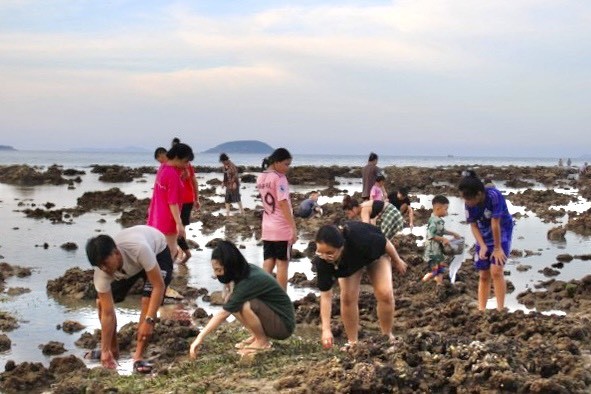 Nhiều người đổ ra biển 'uy hiếp' rạn san hô vịnh Nha Trang ảnh 3
