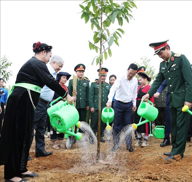 Chủ tịch nước phát động Tết trồng cây nhớ ơn Bác Hồ ảnh 2