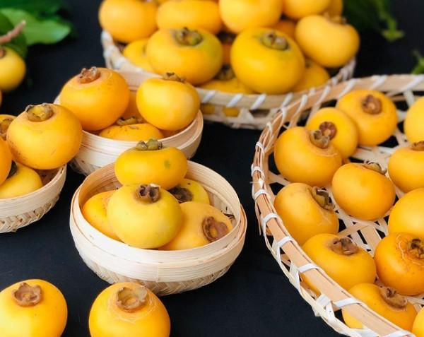Mơ Thấy Quả Thị - Giải Mã Giấc Mơ và Con Số May Mắn
