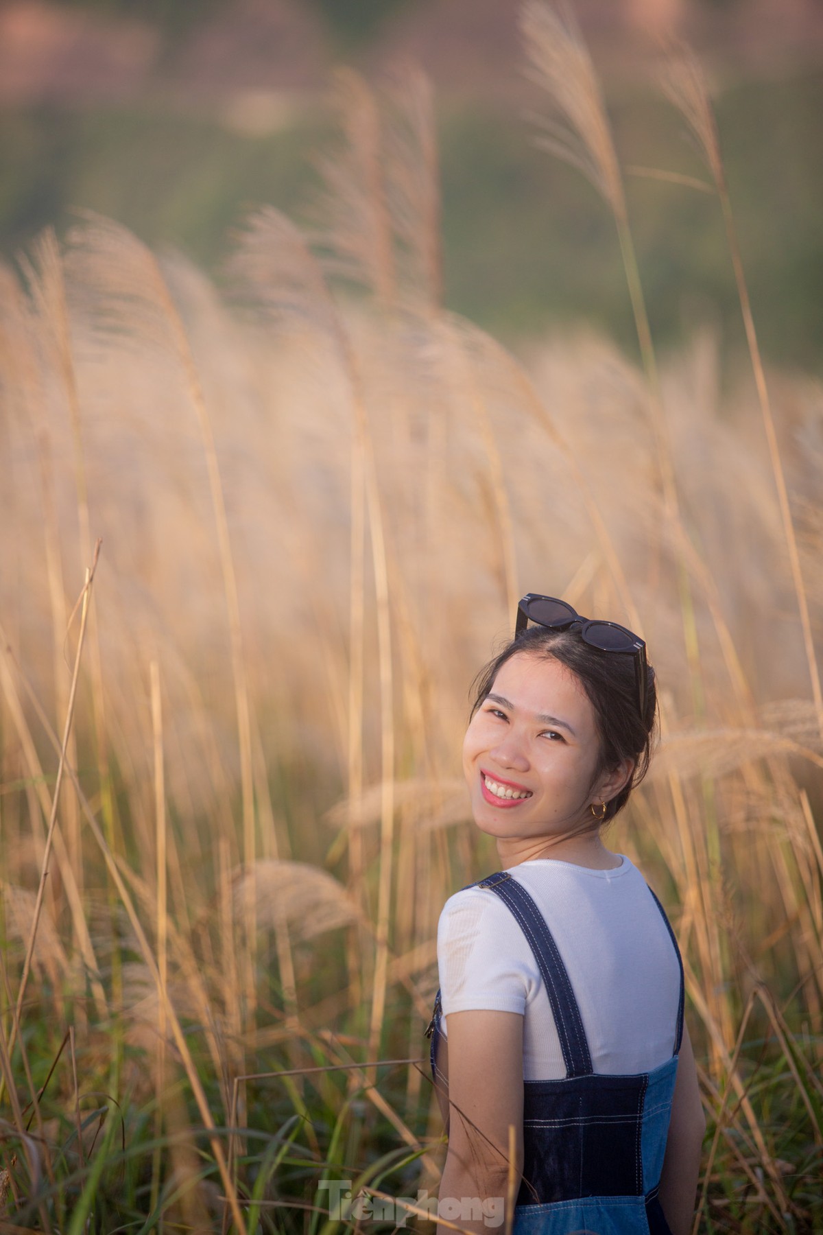 Lạc bước trong thiên đường cỏ lau đẹp nhất Việt Nam ảnh 12