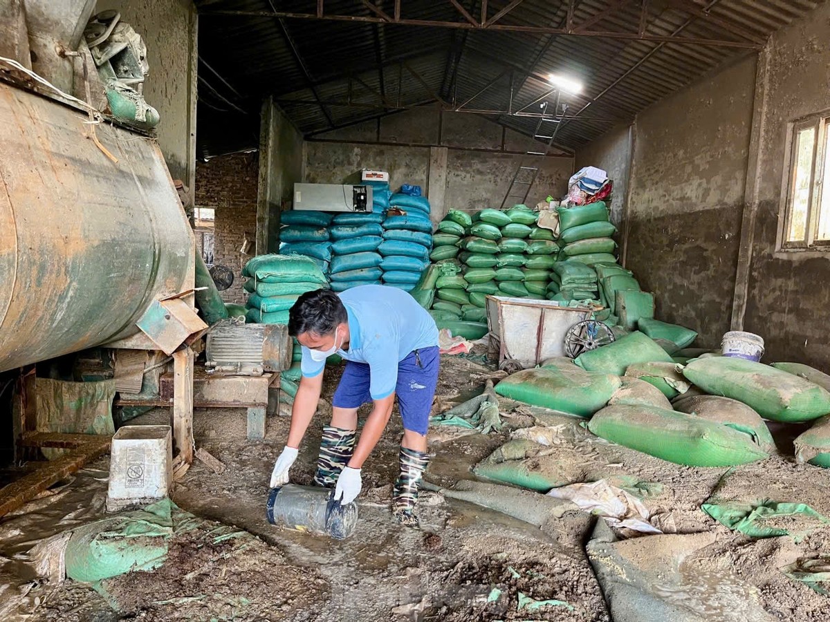 Gần 80.000 con gà chết trong nước lũ, lão nông mất trắng hơn chục tỷ đồng ảnh 7