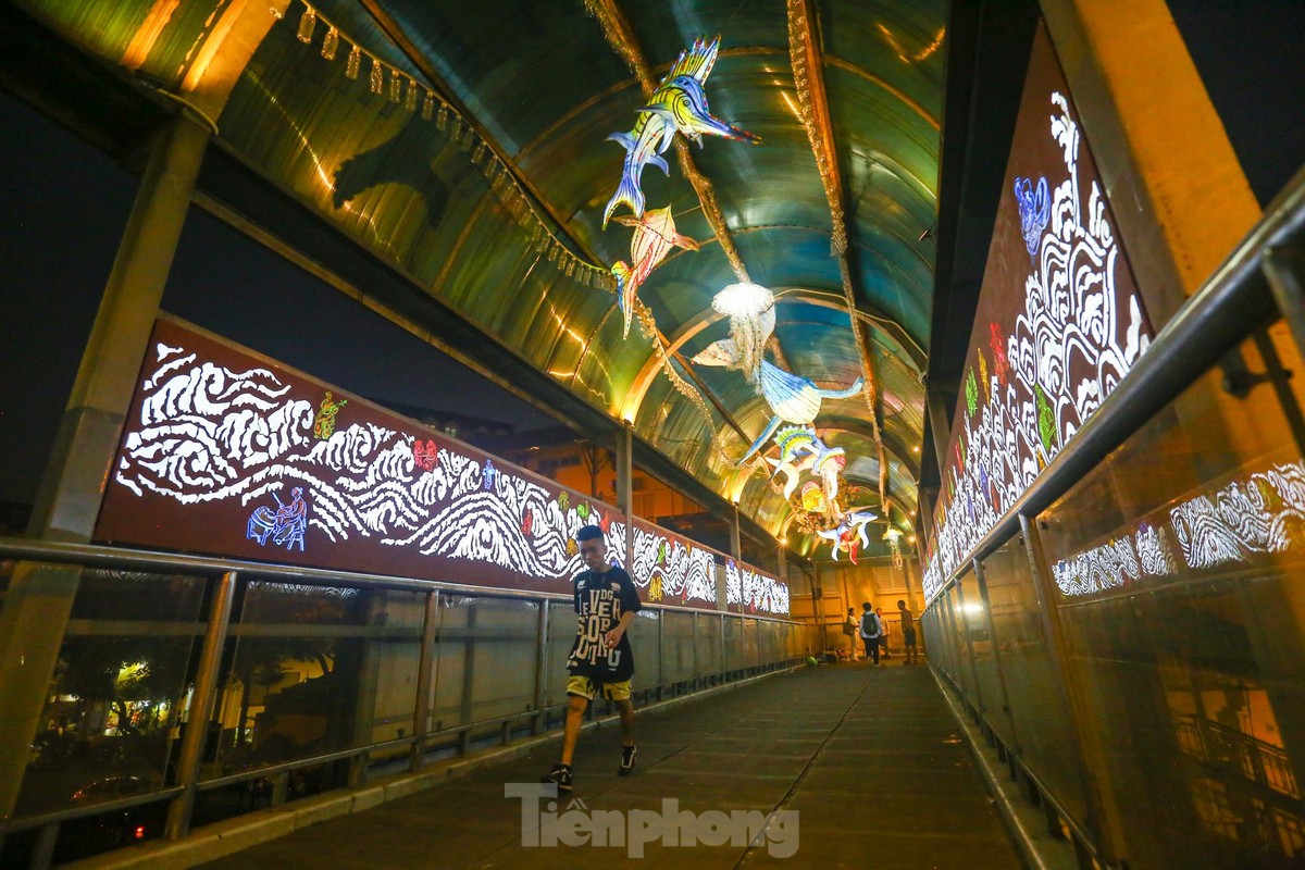 Độc lạ 'thủy cung' trên cầu đi bộ Trần Nhật Duật