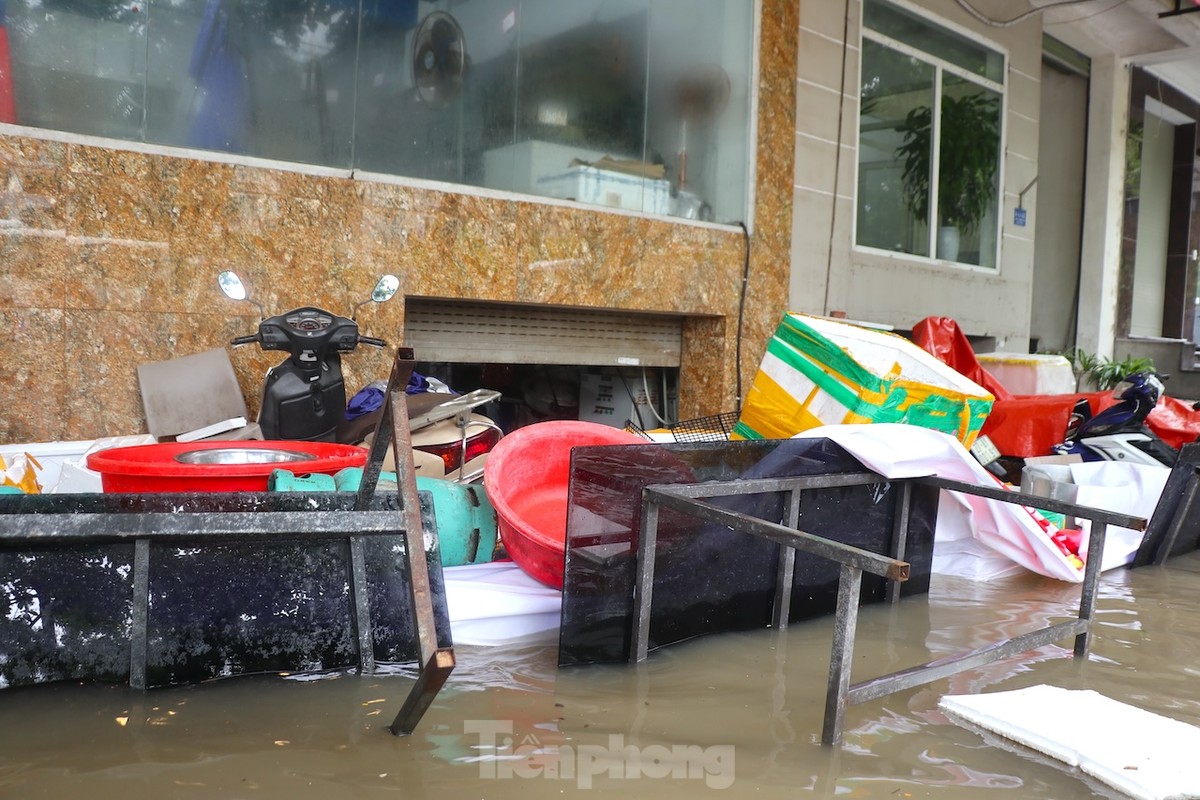 Câu cá dưới hầm biệt thự 'triệu đô' ở Hà Nội ảnh 8
