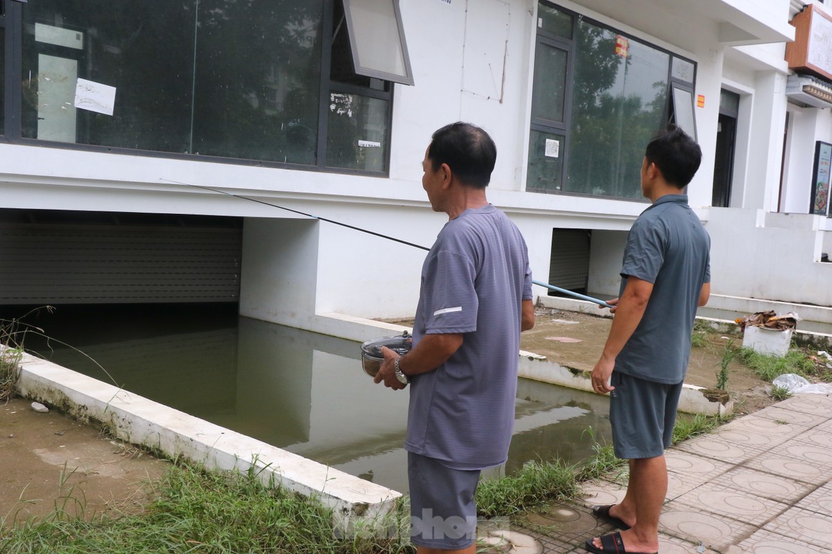 Câu cá dưới hầm biệt thự 'triệu đô' ở Hà Nội ảnh 6