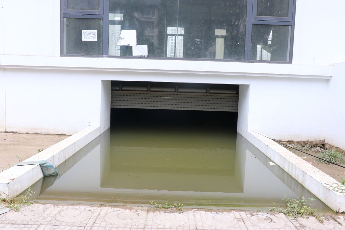 Câu cá dưới hầm biệt thự 'triệu đô' ở Hà Nội ảnh 2