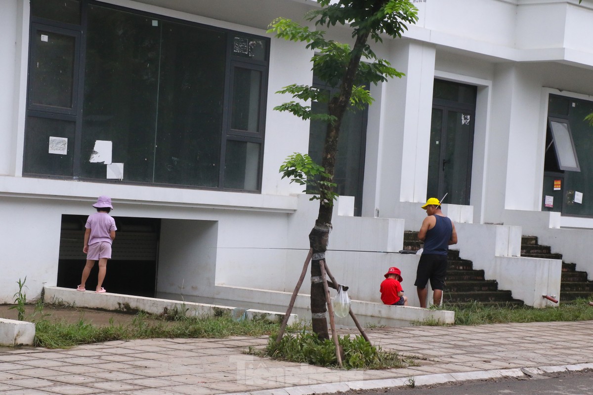 Câu cá dưới hầm biệt thự 'triệu đô' ở Hà Nội ảnh 5