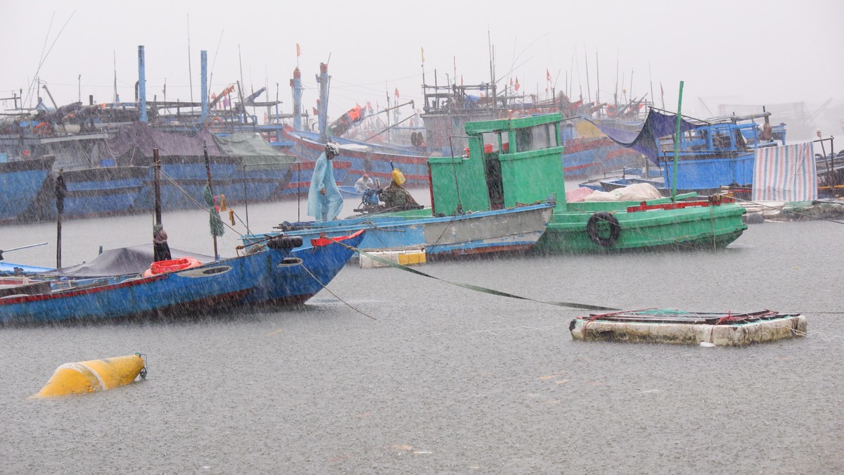 Gió giật liên hồi, ngư dân Đà Nẵng hối hả chạy đua với bão số 4 ảnh 1