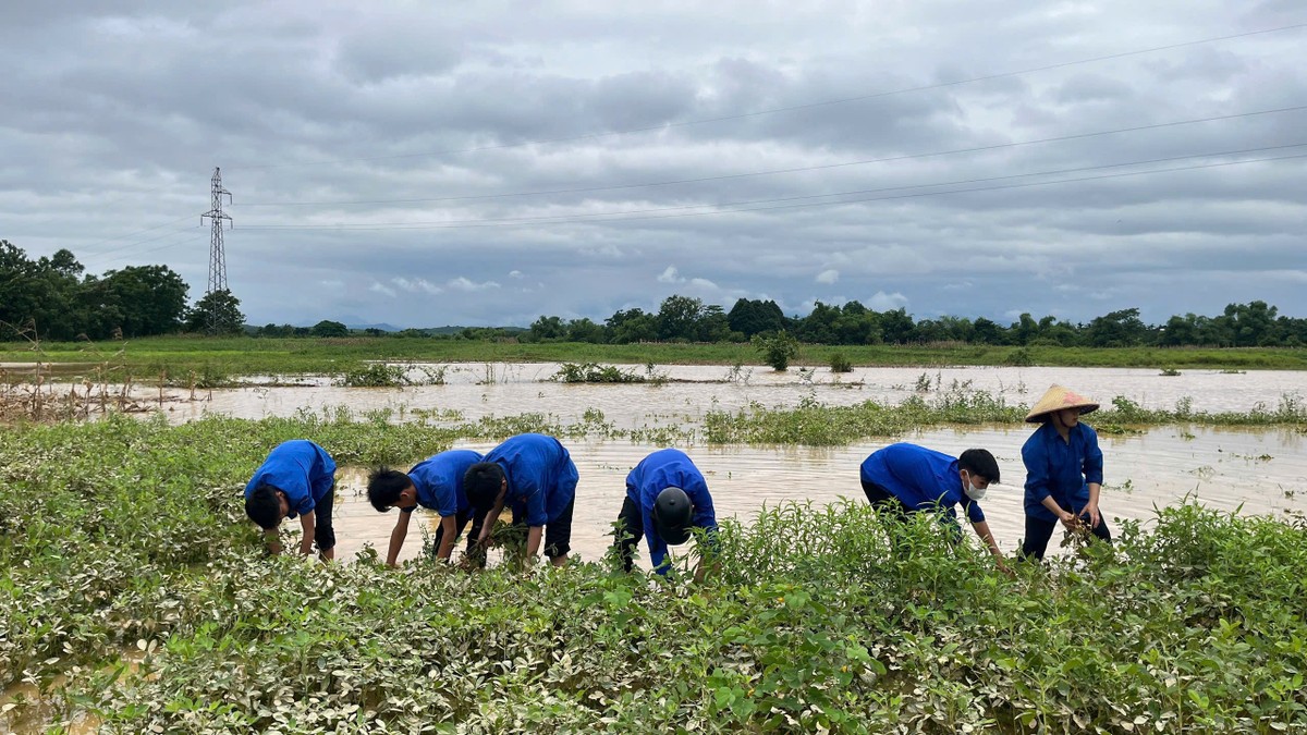 Thanh niên, bộ đội giúp người dân khắc phục sau trận lũ chưa từng có ở Hà Tĩnh ảnh 3