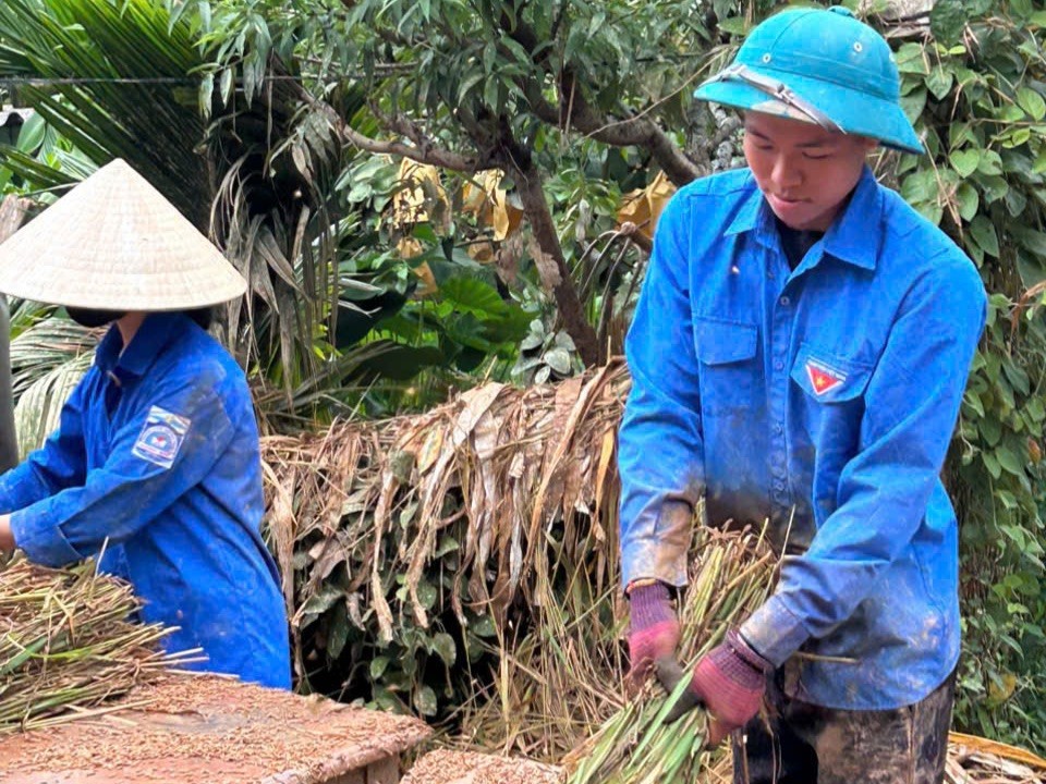 Tuổi trẻ Hà Tĩnh xuống đồng gặt lúa hỗ trợ người dân ảnh 6