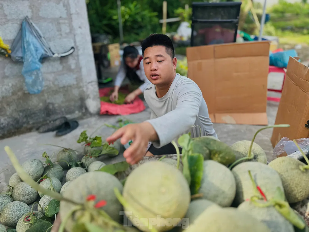 Vườn dưa, nho bạc tỉ của chàng kỹ sư đam mê làm nông nghiệp sạch ảnh 7
