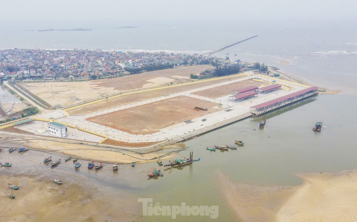 Cận cảnh cảng cá 280 tỷ đồng, hiện đại bậc nhất miền Trung sắp hoạt động ảnh 1