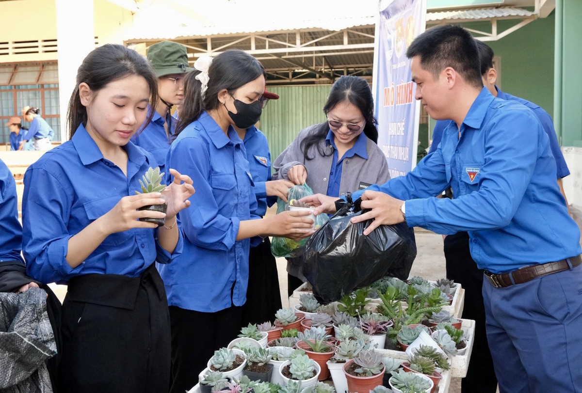 Tuổi trẻ Lâm Đồng phấn đấu 'Bình dân học vụ số' tại 100% xã phường ảnh 8