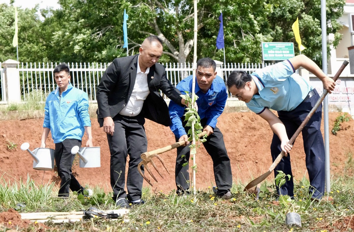 Tuổi trẻ Lâm Đồng phấn đấu 'Bình dân học vụ số' tại 100% xã phường ảnh 4